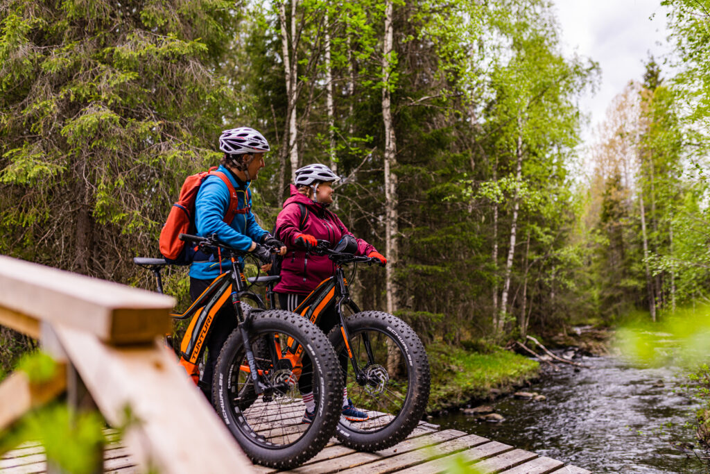 Biking in Arctic Lakeland Finland