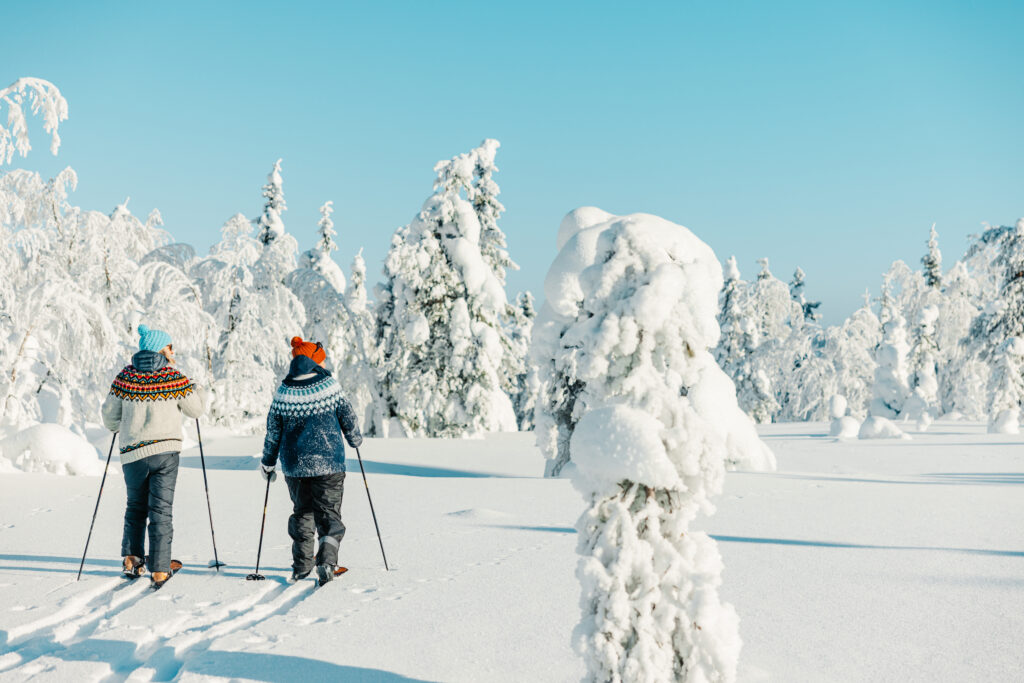 Sliding snowshoeing in a snowy forest at Arctic Lakeland