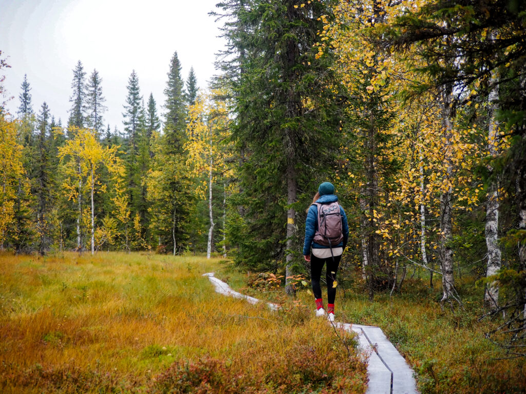 Autumn hiking at Arctic Lakeland